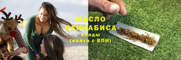 амф Верхний Тагил