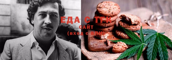 амф Верхний Тагил